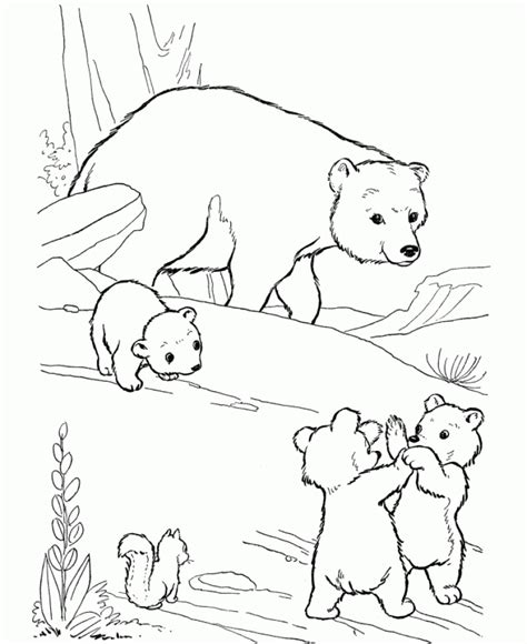 20 Free Printable Polar Bear Coloring Pages