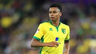 Josh Murphy targets the Premier League after signing new Norwich City ...