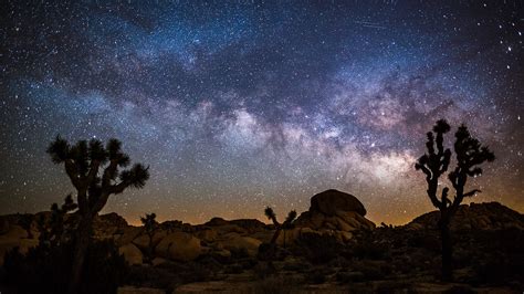 Desert Landscape At Night With Milky Way Joshua Tree National Park