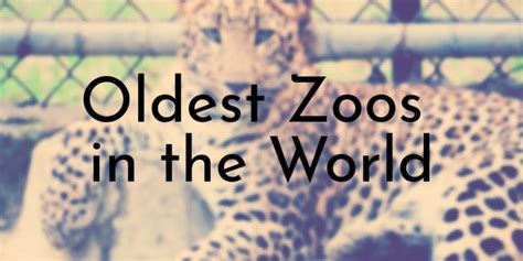 11 Oldest Zoos In The World