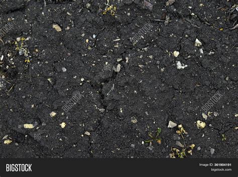 Surface Black Soil Image And Photo Free Trial Bigstock