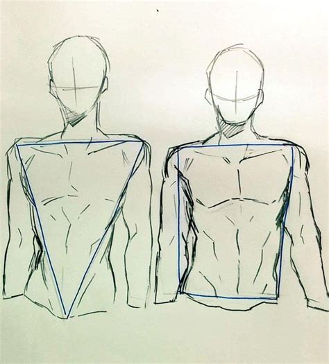 Male Torso Step By Step Drawings In 2020 Anatomy Sketches Sketches