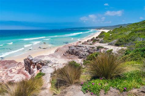 View Over Remote Quondolo Beach Located In Ben Boyd National Park Nsw