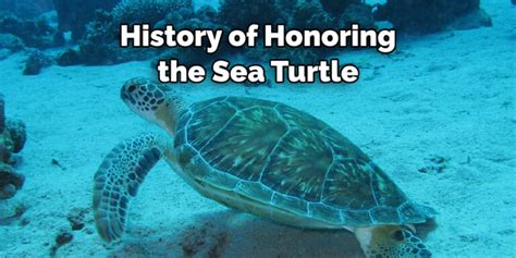 Sea Turtle Spiritual Meaning Symbolism And Totem 2022