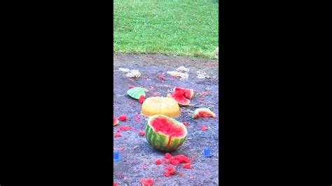 Exploding Watermelon Youtube