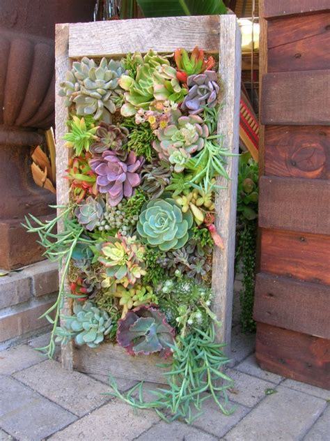 35 Succulent Gardening Ideas For Small Creative Container