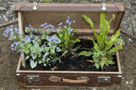 Reuse Old Suitcase As Diy Flower Planter For Garden Decoration Ideas