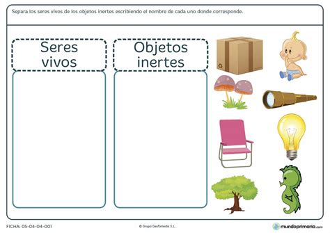 10 Dibujos De Seres Inertes Fichas De Seres Vivos Y Seres Inertes