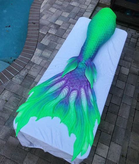 Signature Line — Mernation Inc Silicone Mermaid Tails Mermaid
