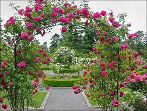 Attractive Beautiful Rose Gardens Photos Rose Garden Design Rose