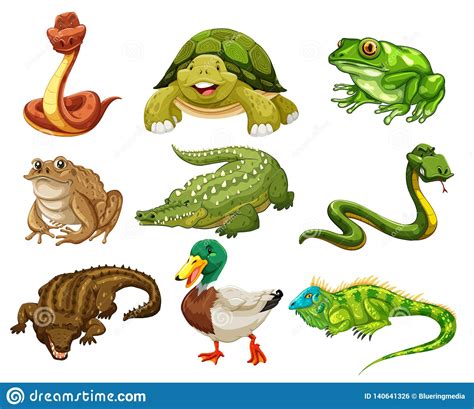 Set Of Isolated Animals Stock Vector Illustration Of Happy 140641326