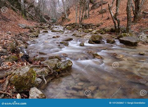 Mountain River Flowing Through The Green Forest Stream In The Wood