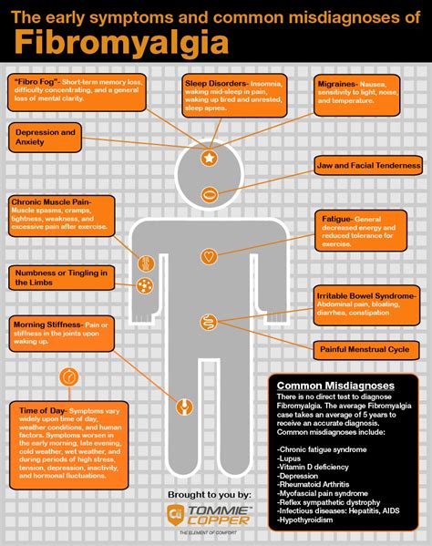 Symptoms Of Fibromyalgia Infographic