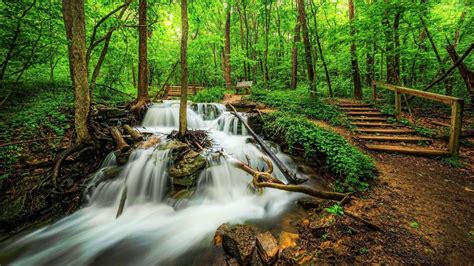 Cascading Forest Waterfall
