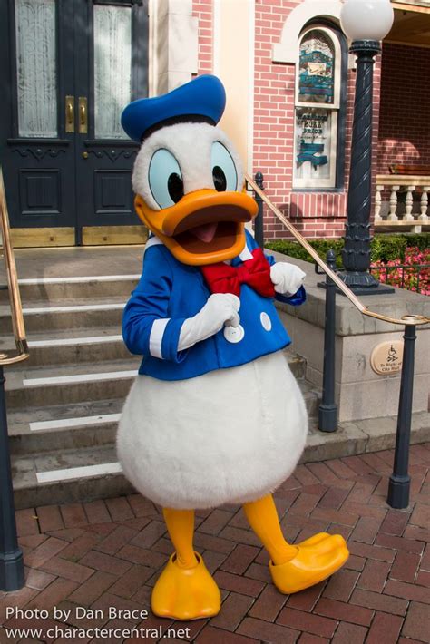 Donald Duck Disney Mickey Mouse Donald Duck Donald Duck