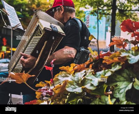 Accordion Street Performer Stock Photo Alamy