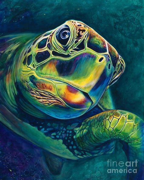 pin by hanz on art in 2023 nature art prints sea turtle art turtle art
