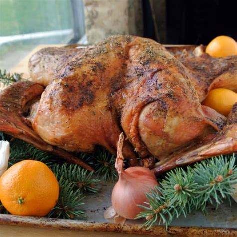 Review Of Alton Browns Spatchcock Dry Brine Turkey