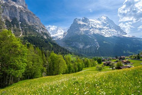Amazing View On Eiger Mountain In Grindelwald During Sunny Day In