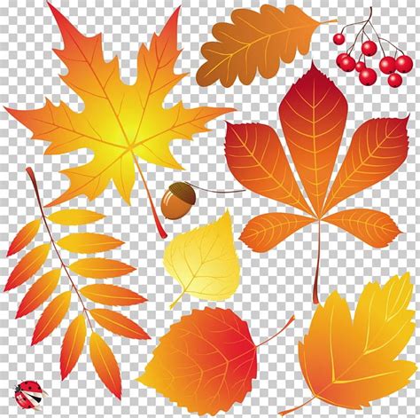 40 Most Popular Drawing Of Leaves With Color Beads By Laura