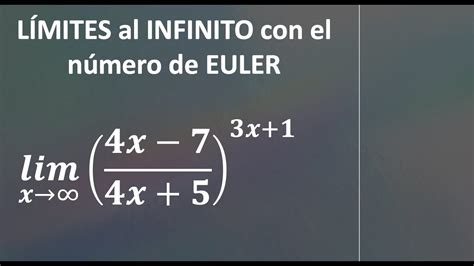 Euler Elevado A Infinito