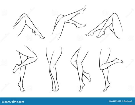 Female Legs Stock Vector Illustration Of Beauty Naked 60475572