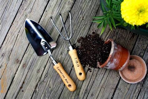 5 Essential Gardening Tools And What They Do 1001 Gardens