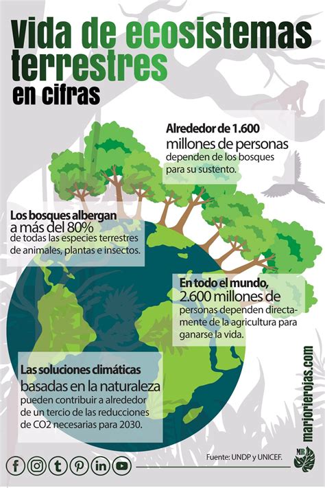 Los Ecosistemas Terrestres Ecosistemas Desarrollo Sostenible