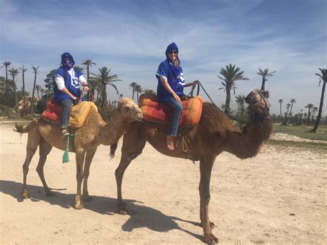 Getting from spain to morocco is quite easy. Marrakech, Morocco | She Went To Spain