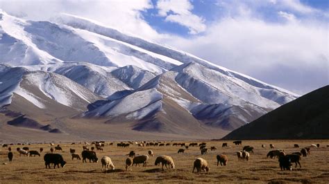 Pamir Mountains The World Pinterest Asia