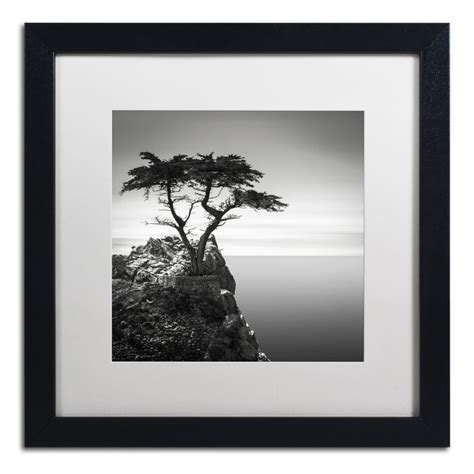 World Menagerie The Lone Cypress Framed Photographic Print And Reviews