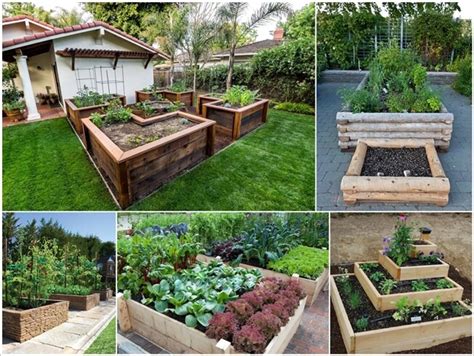 Grow Your Vegetables In Raised Garden Beds