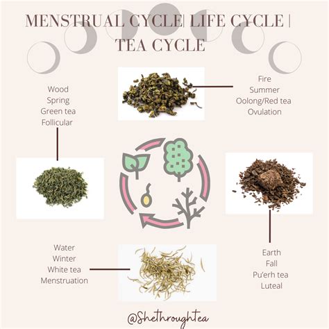 What Type Of Tea Do You Drink For The Different Phases Of Your Cycle Menstrual Tea Menstrual