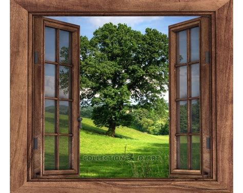 Window To The Forest Article De7015