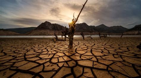 Water Scarcity Facts 19 Statistics About The Global Water Crisis