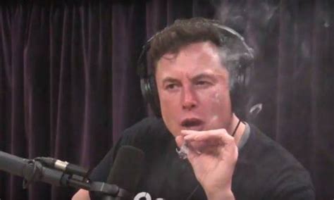 Video Elon Musk Fumó Marihuana En Plena Entrevista Y Estallaron Las Redes Nexofin