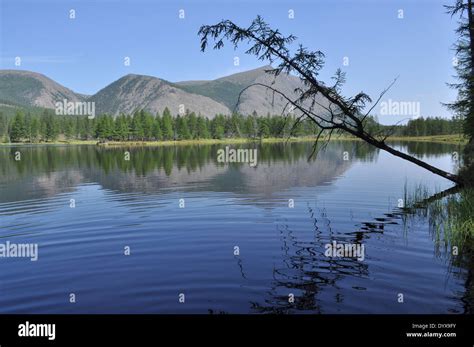 Yakutia Summer Landscape Mountain Lakes At Oymyakon Plateau In The