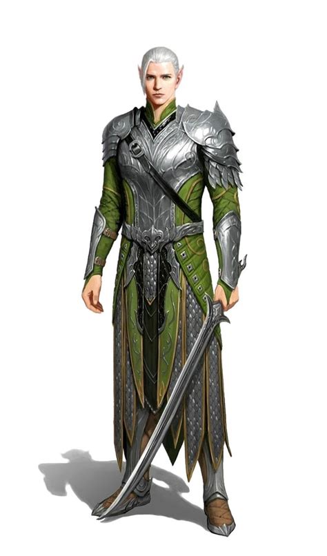 Armour Colour And Design Ideas Elf Warrior Male Elf Fantasy Art Men