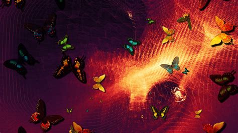 Butterfly Abstract Background Design Wallpaper 3840x2160 Uhd 4k