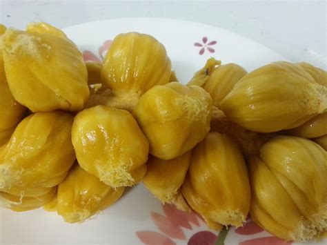 Download lagu resepi cempedak goreng 8.56mb dan streaming kumpulan lagu resepi hasil diatas adalah hasil pencarian dari anda resepi cempedak goreng mp3 dan menurut kami yang. MAKSU JATT ANEKA MASAKAN: GORENG CEMPEDAK # CUCUR CEMPEDAK