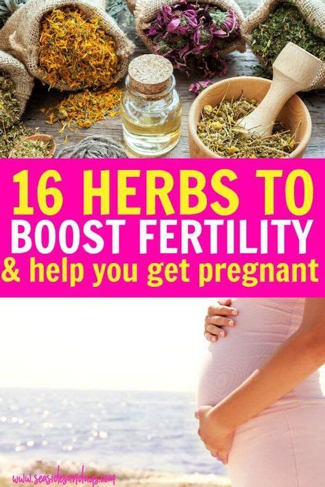 16 Fertility Herbs To Help You Get Pregnant Fast Herbs For Fertility Getting Pregnant Get