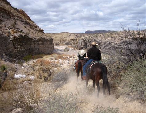 Best Time For Horseback Riding In Texas 2024 Best Season Roveme