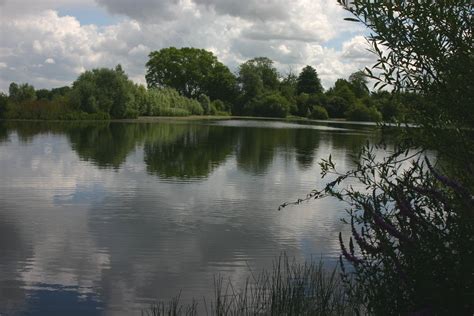 Bluebell Lakes Swan Lake Rules Tips Bait And Advice Gilly