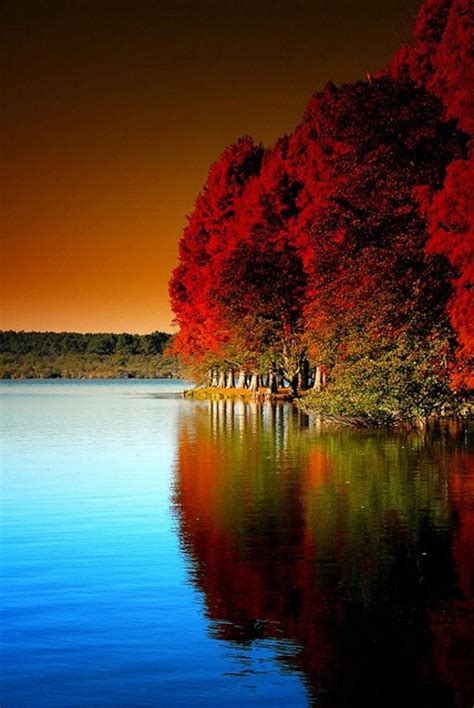 Autumn Sunset With River Glow Scenery Beautiful Nature
