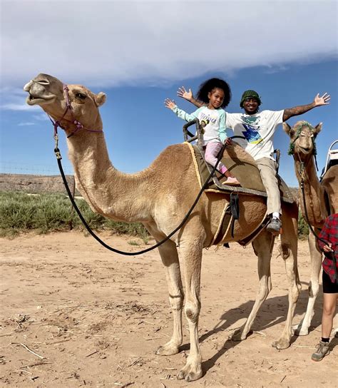 Camel Safari Las Vegas Accredited Zoo And Safari Nevada