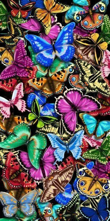 Pin By Pam Gallego On Butterflies Butterfly Wallpaper Butterfly Art