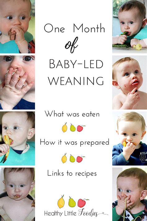 I also added some notes and suggestions of serving for some of them. Baby-led weaning (blw) - food inspiration for the first month
