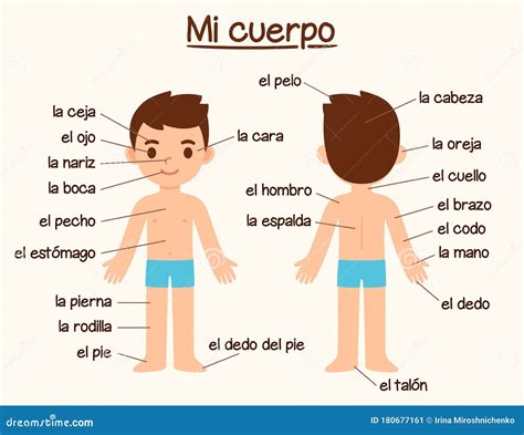 Spanish Body Parts Worksheet