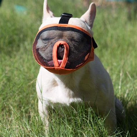 Jyhy Short Snout Dog Muzzle Adjustable Breathable Mesh Bulldog Muzzle