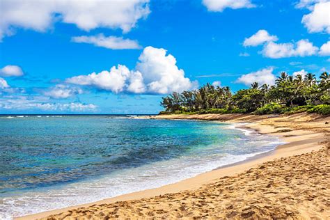North Shore Oahu Stock Photos Pictures And Royalty Free Images Istock